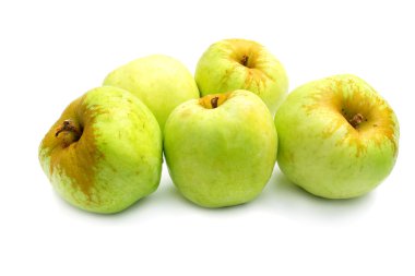 Green apples clipart