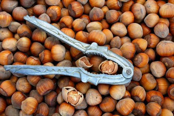 Nötknäppare med hasselnötter — Stockfoto