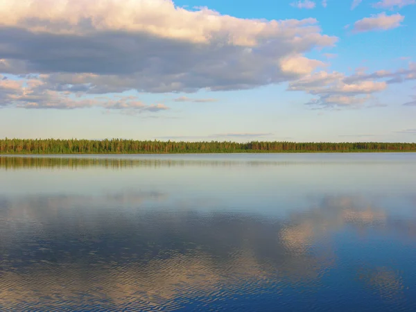 Літній краєвид озера — стокове фото
