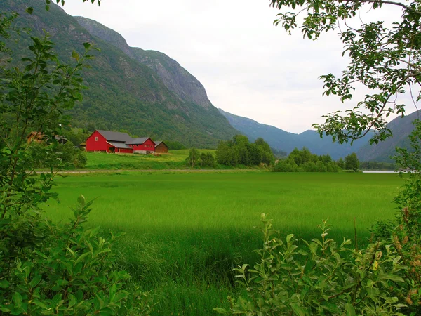 Hermosa naturaleza Noruega — Foto de Stock