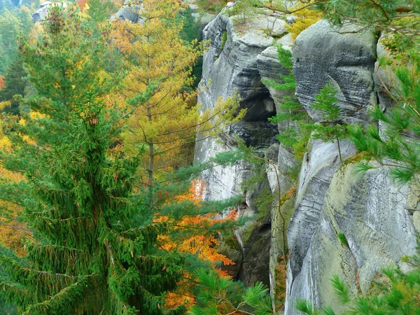 stock image Beautiful place Czech Republic