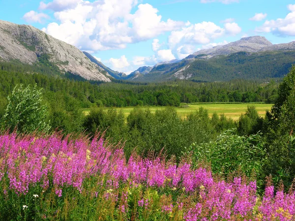 Όμορφη φύση της Νορβηγίας — Φωτογραφία Αρχείου