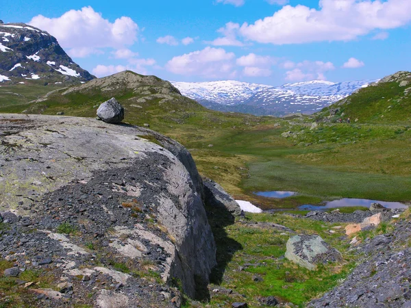 Прекрасная природа Норвегии — стоковое фото