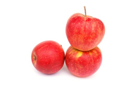 Apple varieties CHAMPION clipart