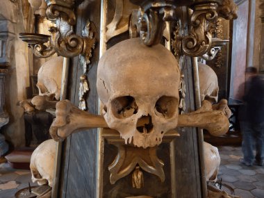 Human skull and bones clipart