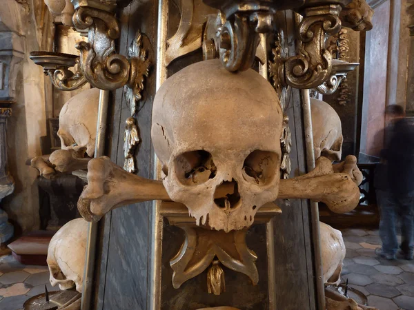 Menselijke schedel en botten — Stockfoto