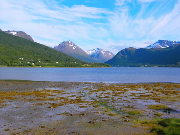 Beautiful Norway nature — Stock Photo, Image