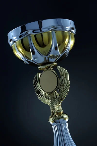 Coppa del trofeo — Foto Stock