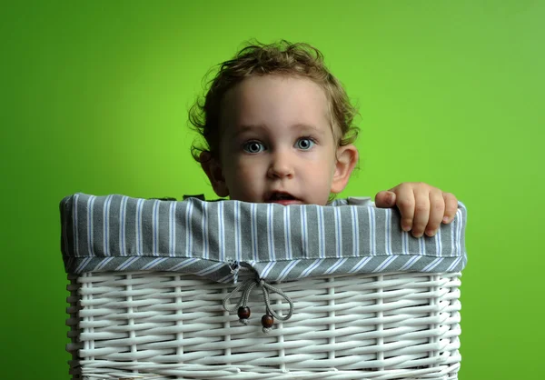 Bebé sentado en una cesta —  Fotos de Stock