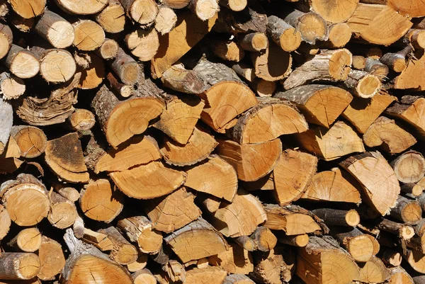 Suché dřevo zásobníku — Stock fotografie