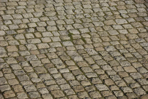 Piedra de pavimentación — Foto de Stock