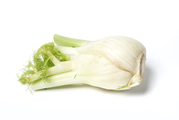 stock image Fennel