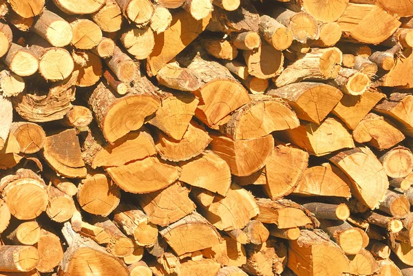 Сухий дрова стек — стокове фото