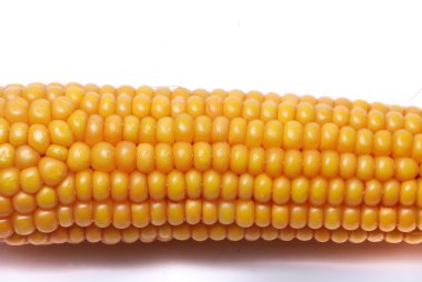An ear of ripe corn clipart