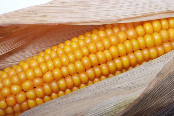 Egy fül érett kukorica — Stock Fotó