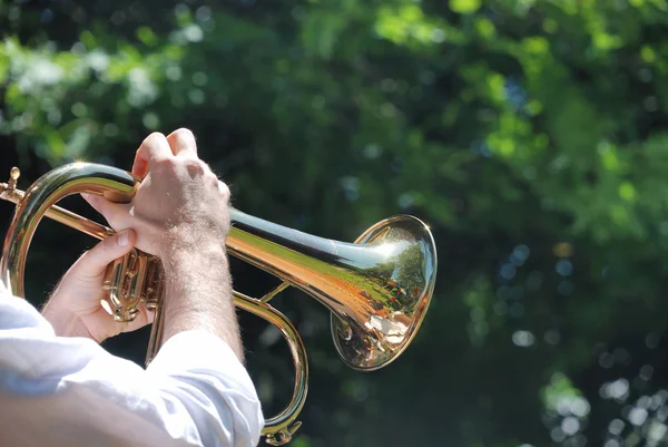 stock image Man playing trumpet