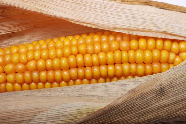 成熟的玉米穗 — 图库照片