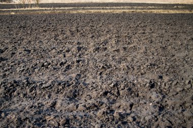 Plowed Field In Spring clipart