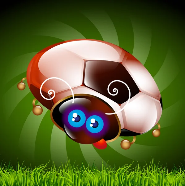 Ladybug fan of football — Stock Photo, Image