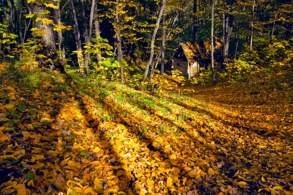 Verloren huis in de herfst bos — Stockfoto