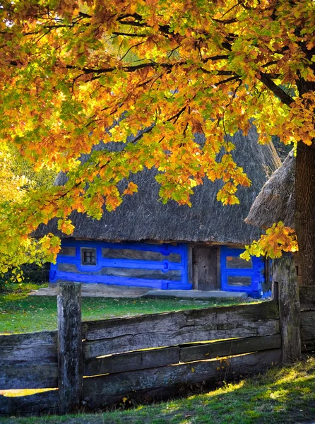 Autumn in Pirogovo — Stock Photo, Image