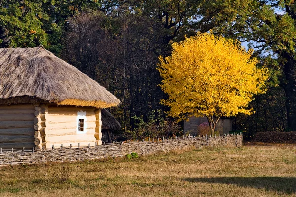 House Western Ukraine Region Polesie National Museum Folk Architecture Life — Stock Photo, Image