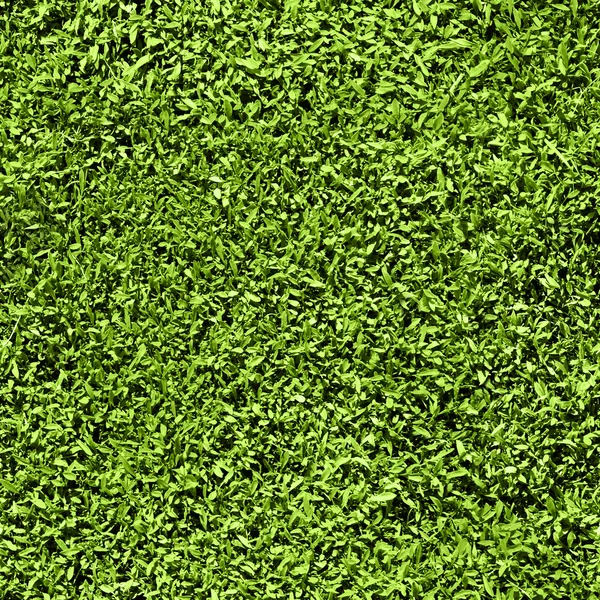 Трава Бесшовная Бесшовные Текстурные Плитки Короткая Длина Травы — стоковое фото