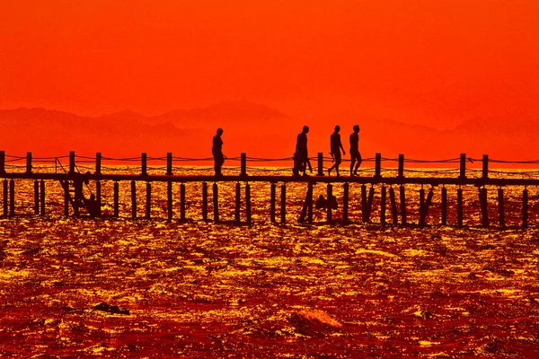 Tramonto Sulle Rive Del Mar Rosso — Foto Stock
