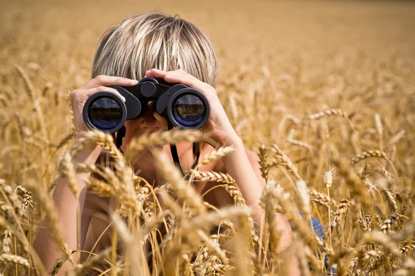 小麦の黄金の分野での自然を見つめる少年 — ストック写真