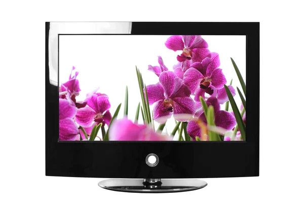 Televisione LCD Immagine Stock
