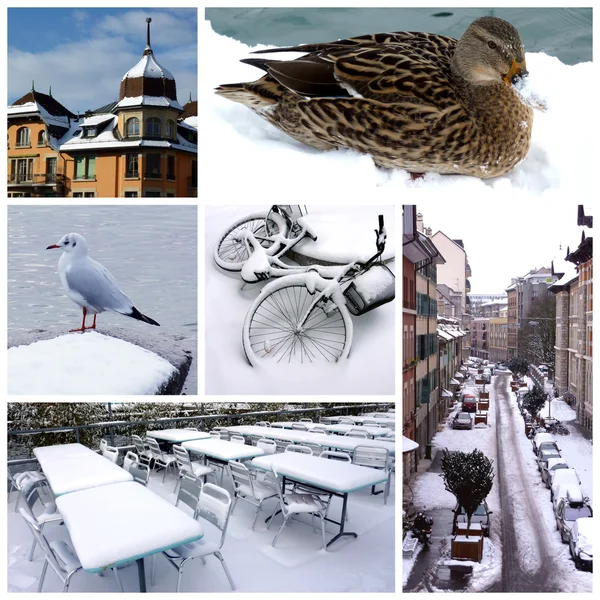 stock image Geneva by winter, Switzerland, collage