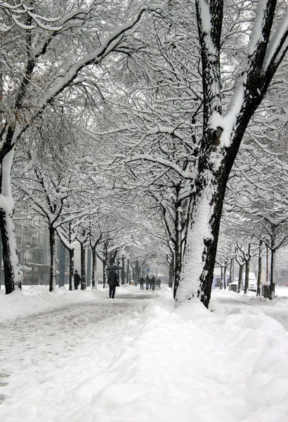 Vandrare Plainpalais Plats Vintern Genève Schweiz — Stockfoto