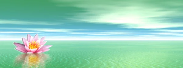 百合花在绿色的海洋中 — 图库照片