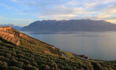 Famous and protected Lavaux vineyards near Montreux and mountains on Lake Geneva, Switzerland, by sunset clipart