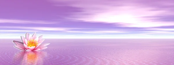 粉色百合花紫海洋中 — 图库照片
