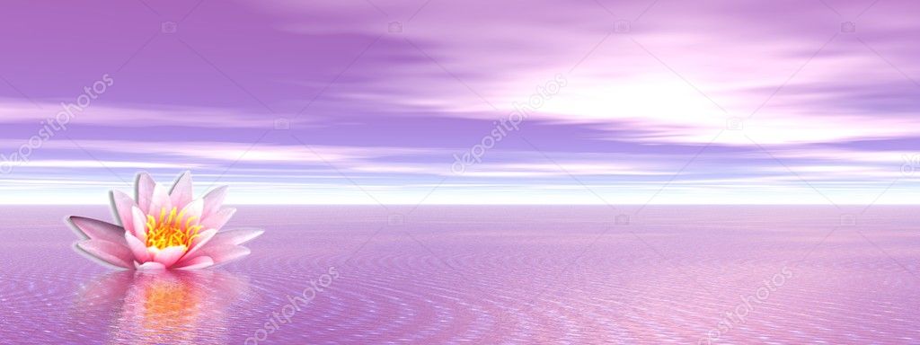 Pink lily flower in the violet ocean