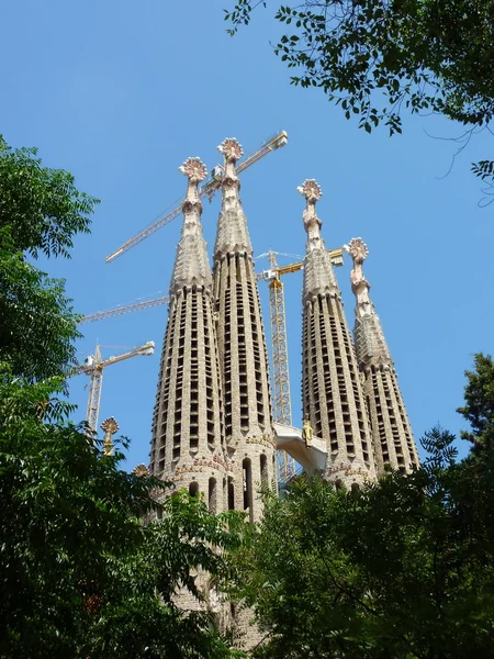 Syn Fasaden Sagrada Familia Kyrkan Barcelona Spanien — Stockfoto