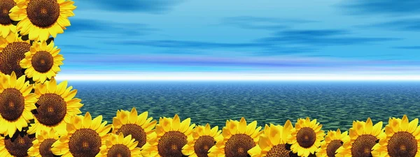 Background Blue Sky Ocean Lots Sunflowers Left Side — Stock Photo, Image
