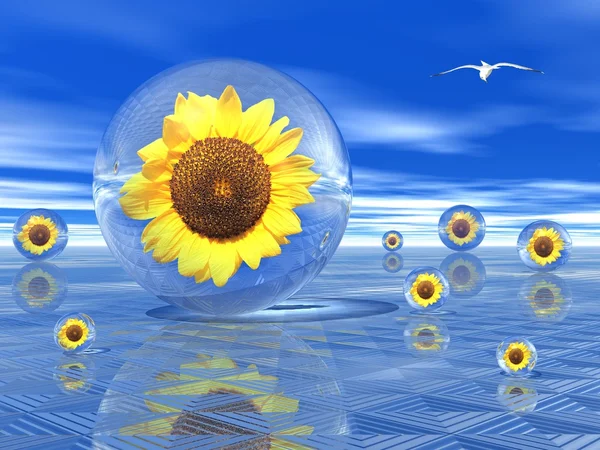 Sunflowers in bubbles — Stock Photo, Image