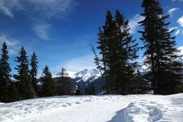 日当たりの良い冬の風景、スイス — ストック写真