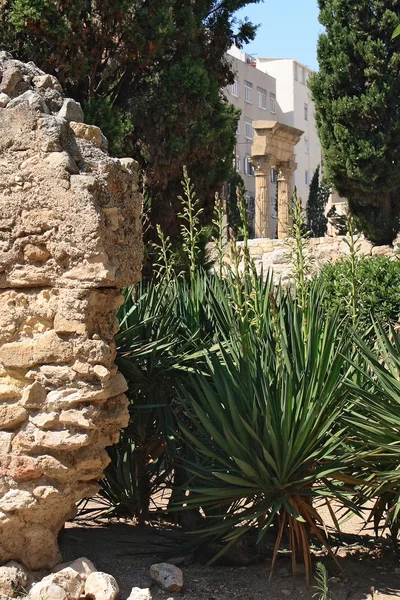 Tarragona da Roma Forumu