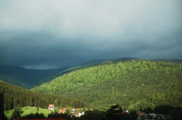 Piękne Zielone Lasy Karpat — Zdjęcie stockowe