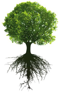 Trees with roots clipart