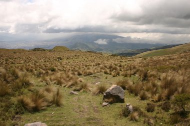 Pichincha