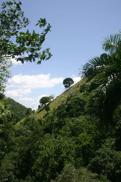 ドミニカ共和国の山 ストックフォト