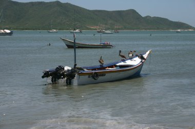 Isla de margarita önünde tekneler