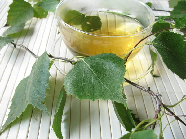 Nyírfa levelek tea — Stock Fotó