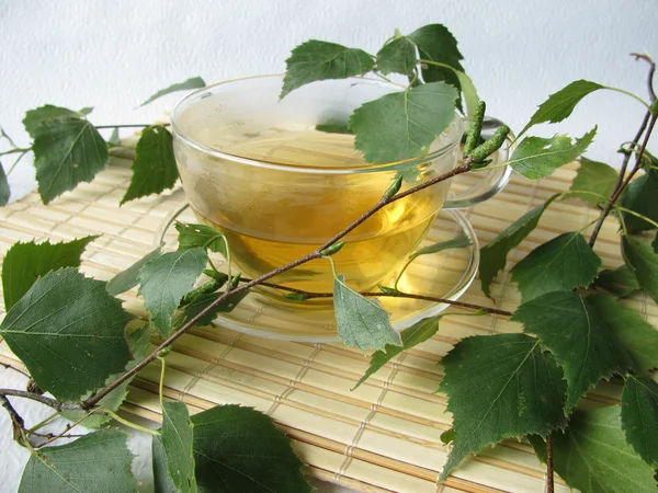 Chá de folhas de vidoeiro — Fotografia de Stock