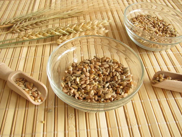 Mistura de cereais — Fotografia de Stock