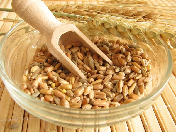 穀物の混合 — ストック写真